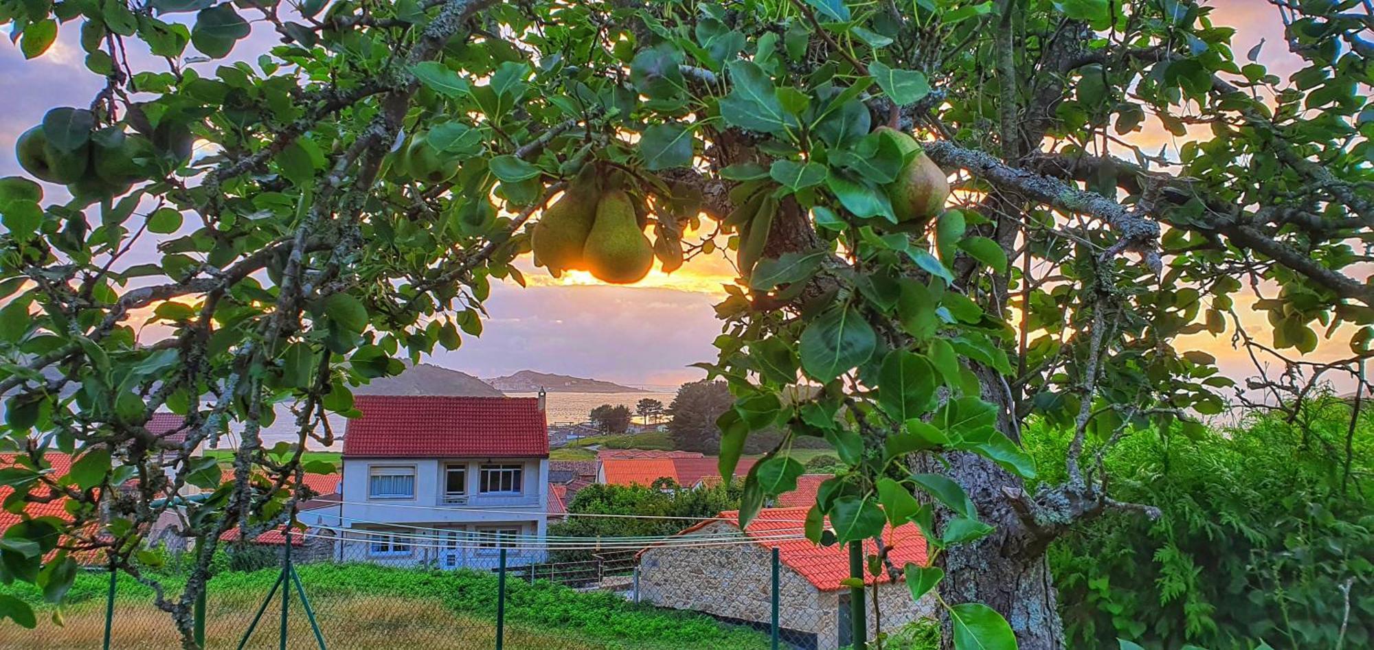 Casa Maria Holiday home *